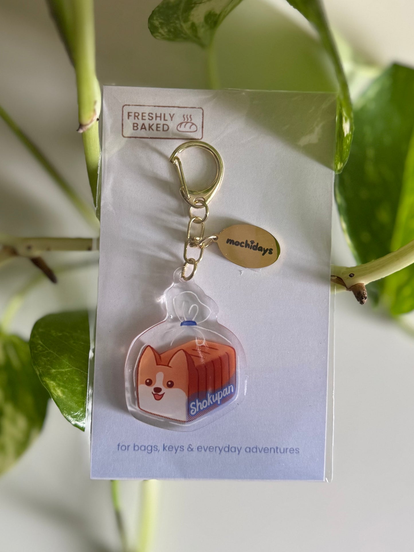 Shokupan Corgi Acrylic Keychain