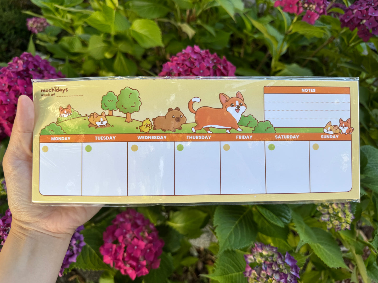 Weekly Planner Notepad