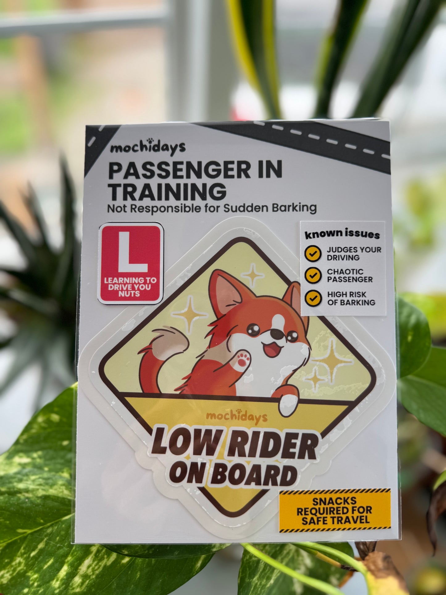 Low Rider on Board – Car Window Cling