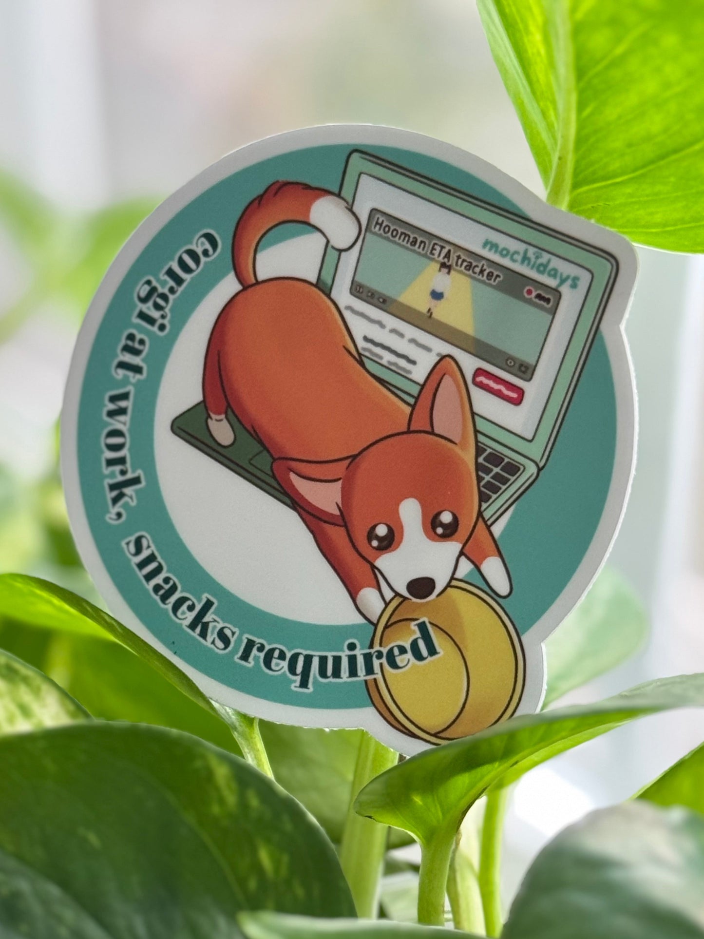 💻🍪 Working Corgi – Snacks Required Sticker