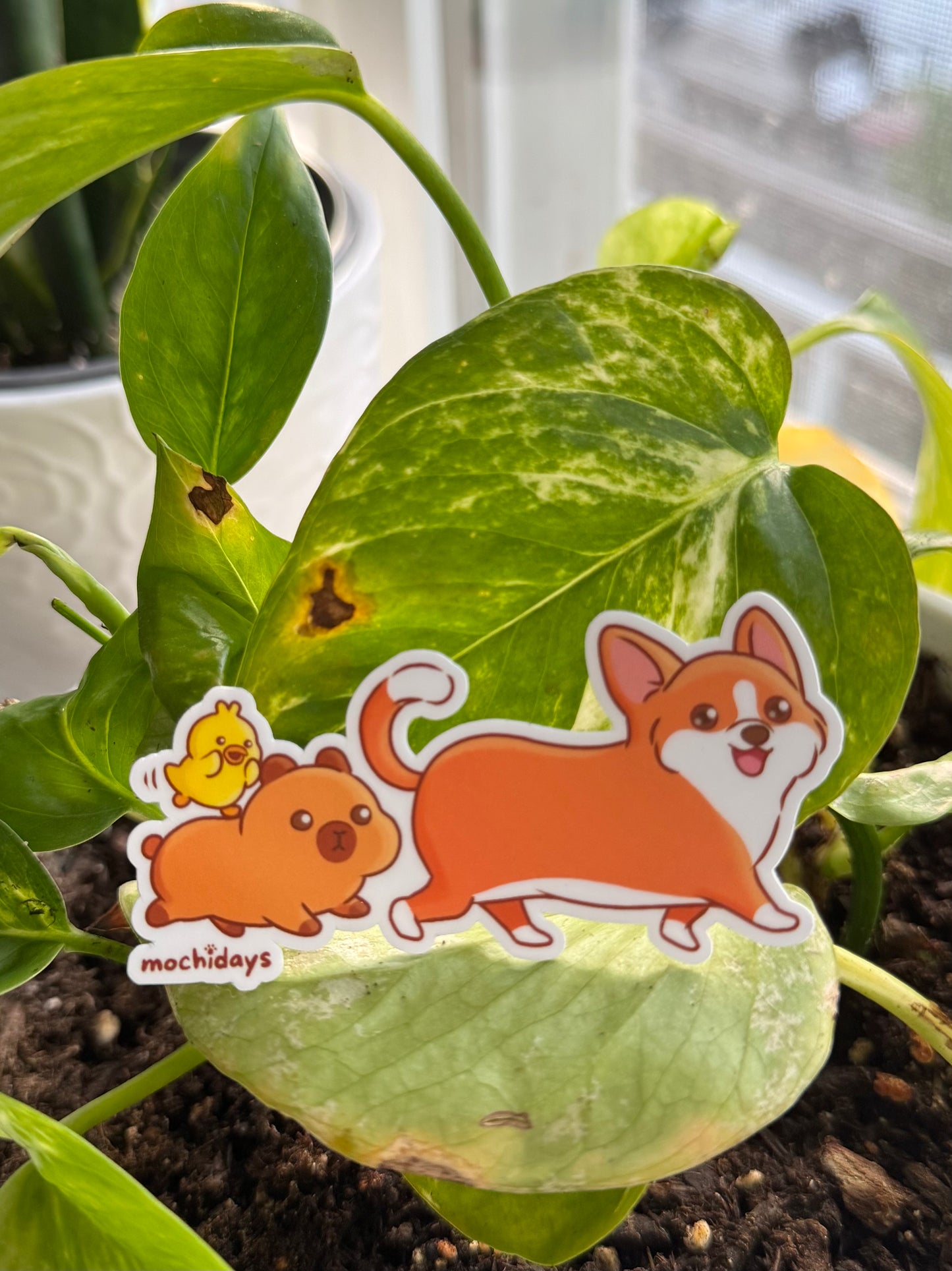 Corgi and Friends Vinyl Sticker